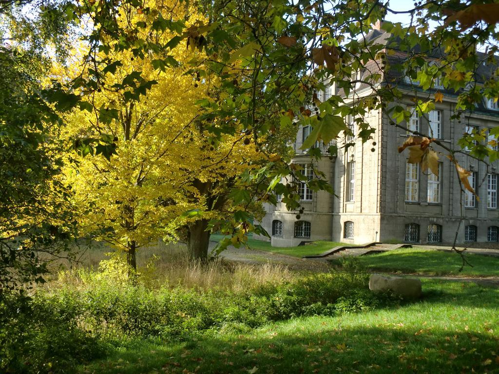 Jagdschloss-Bellin Bellin  Екстериор снимка
